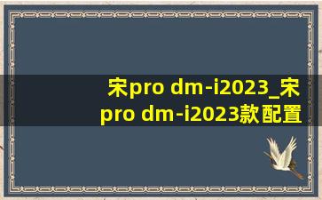 宋pro dm-i2023_宋pro dm-i2023款配置